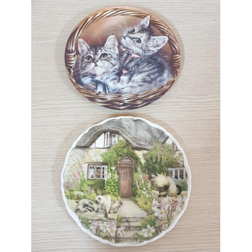 86 - Cats, Dogs and Other Animal Pattern Porcelain Decorative Plates, 8 x Different Sizes, Brands etc (Ro... 