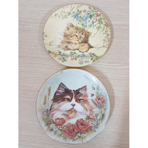 86 - Cats, Dogs and Other Animal Pattern Porcelain Decorative Plates, 8 x Different Sizes, Brands etc (Ro... 