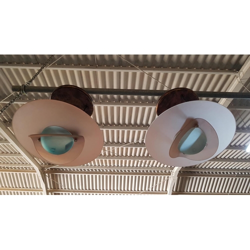 459 - Pair of Modern Ceiling Lights, Metal / Frosted Coloured Glass