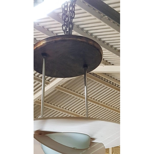 460 - Modern Ceiling Lights, Metal / Frosted Coloured Glass