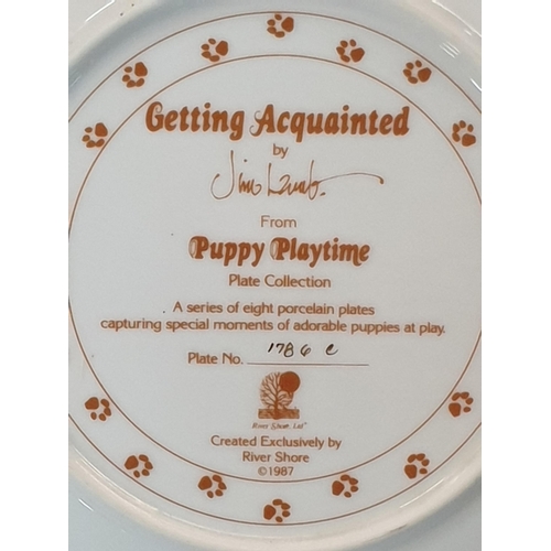 568 - 4 x Puppy Playtime Plates, Plus Hangers