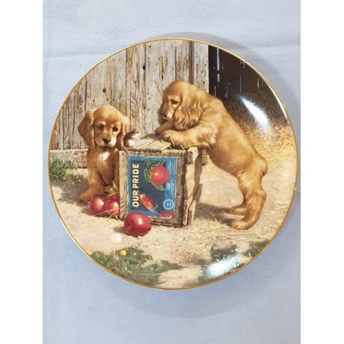 568 - 4 x Puppy Playtime Plates, Plus Hangers