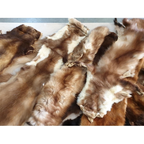 71 - 30 x Pieces of Mink / Chinchilla Fur, of Varying Sizes and Colour