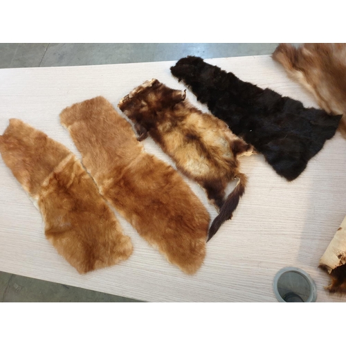 71 - 30 x Pieces of Mink / Chinchilla Fur, of Varying Sizes and Colour