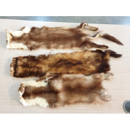 71 - 30 x Pieces of Mink / Chinchilla Fur, of Varying Sizes and Colour