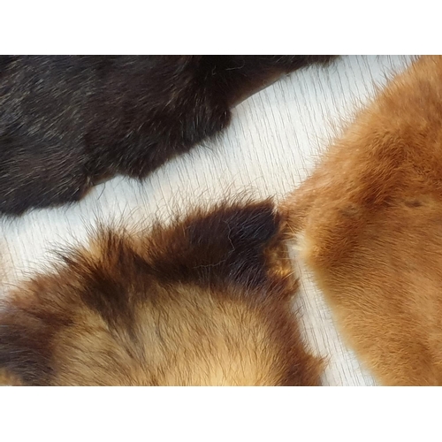 71 - 30 x Pieces of Mink / Chinchilla Fur, of Varying Sizes and Colour