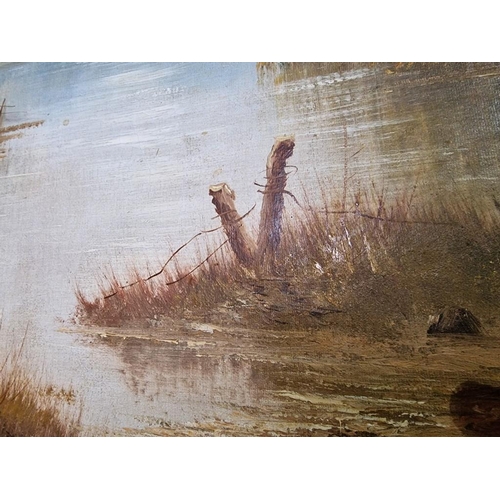 105 - Large Framed Oil on Canvas of Wood Lake Scene, Signed 'H Darby'(?), (Approx. 134 x 74cm)