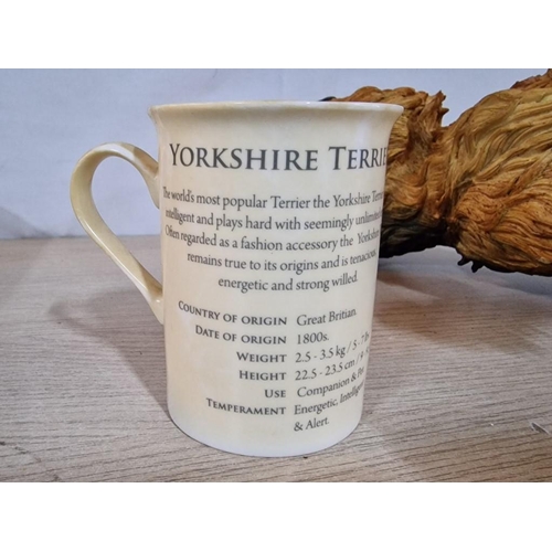 117 - Yorkshire Terrier Figurine, Together with Leonardo Collection Coffee Mug with Yorkshire Terrier Pict... 