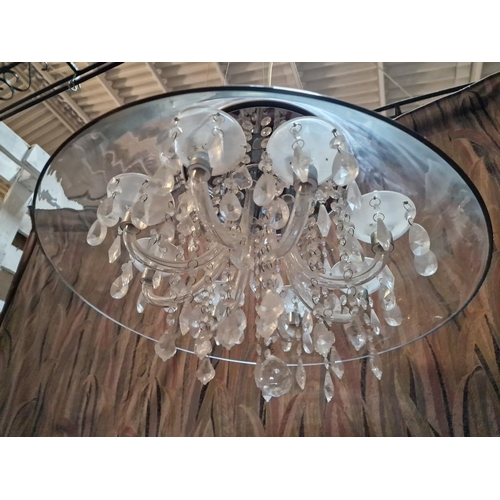 246 - Modern / Designer Crystal Chandelier with 8-Arms / 8-Spot and Glass Shade