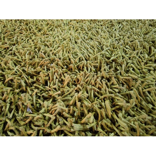 359 - Large Green Colour Deep Pile Carpet, (Approx. 240 x 175cm)