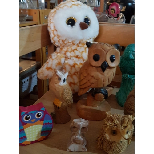 171 - Large Collection of Owl Images in Various, Sizes, Style, Material etc (22pcs & 1 x Box of 6 x Candle... 