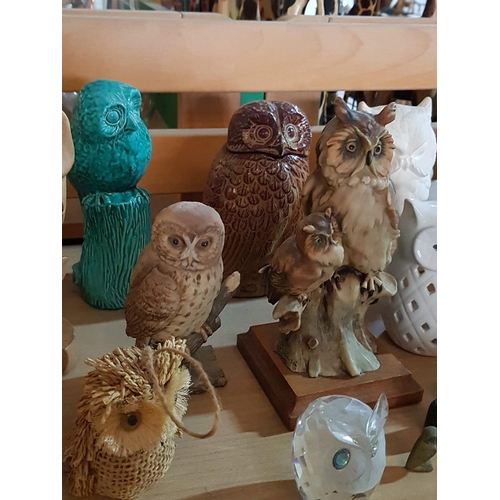 171 - Large Collection of Owl Images in Various, Sizes, Style, Material etc (22pcs & 1 x Box of 6 x Candle... 