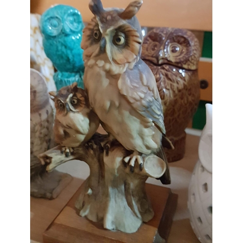 171 - Large Collection of Owl Images in Various, Sizes, Style, Material etc (22pcs & 1 x Box of 6 x Candle... 