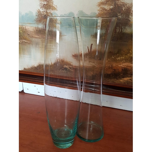 723 - 2 x Tall Glass Vase (H:50cm & H:50.5cm)