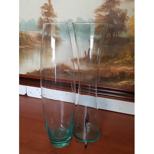 723 - 2 x Tall Glass Vase (H:50cm & H:50.5cm)