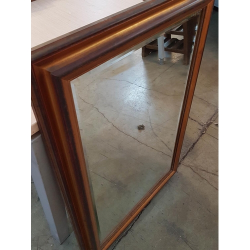 659 - Large Rectangular Mirror in Frame (60 x 88cm)