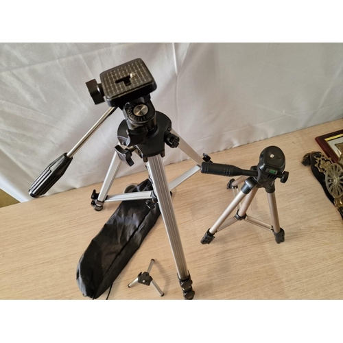 41 - 3 x Camera Tripods; 1 x Large, 1 x Medium and 1 x Miniature