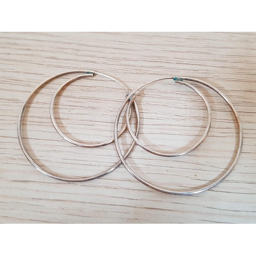 233 - Pair of Silver (?) Earrings, Total Weight 5gr (Ø5cm)