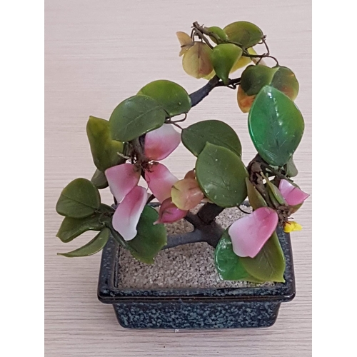 842 - Colourful Oriental Jade Bonsai Tree with Pink Flowers (Approx. 17 x 13cm)