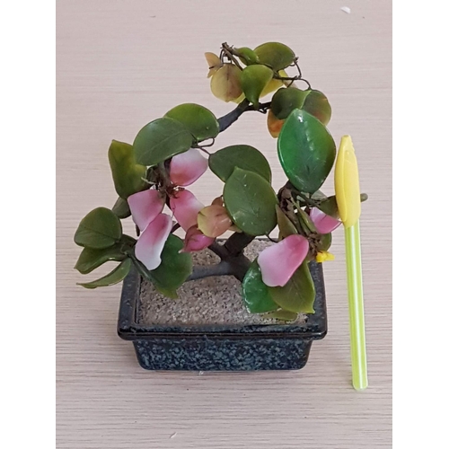 842 - Colourful Oriental Jade Bonsai Tree with Pink Flowers (Approx. 17 x 13cm)