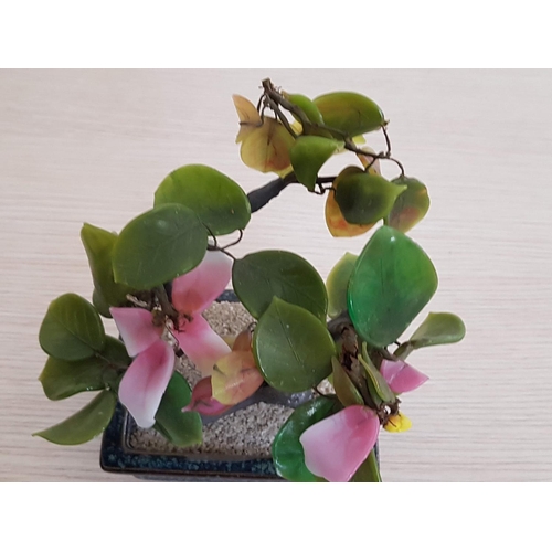 842 - Colourful Oriental Jade Bonsai Tree with Pink Flowers (Approx. 17 x 13cm)