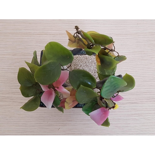 842 - Colourful Oriental Jade Bonsai Tree with Pink Flowers (Approx. 17 x 13cm)