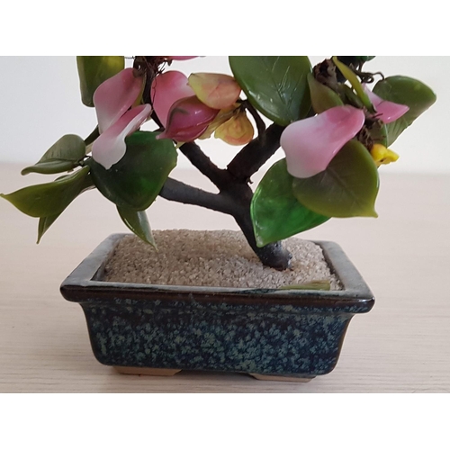 842 - Colourful Oriental Jade Bonsai Tree with Pink Flowers (Approx. 17 x 13cm)