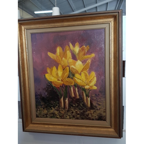 186 - Yellow Spring Crocus Vintage Oil on Board in Gilded Frame Signed by Artist (34 x 38cm)