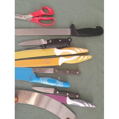 381 - Various Kitchen Knife (11pcs)