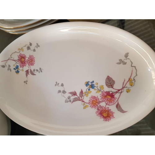 304 - Epiag DF - Vintage Czechoslovakian Dinner Set - Floral Pattern (Approx.140pcs)