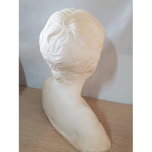 124 - Small Boy - Alabaster (?) Bust (Approx. H:29 x W:27cm)