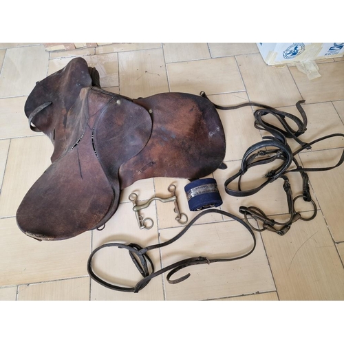 48 - Vintage Leather Horse Riding Saddle with Curb Bits and Bridle