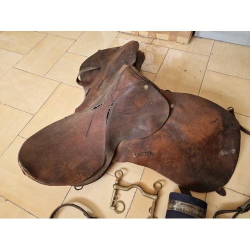 48 - Vintage Leather Horse Riding Saddle with Curb Bits and Bridle