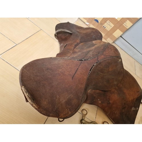 48 - Vintage Leather Horse Riding Saddle with Curb Bits and Bridle