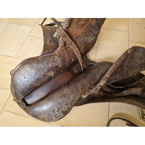 48 - Vintage Leather Horse Riding Saddle with Curb Bits and Bridle