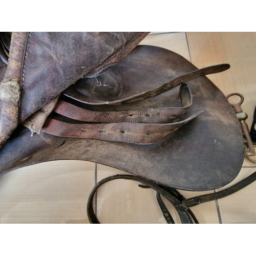 48 - Vintage Leather Horse Riding Saddle with Curb Bits and Bridle