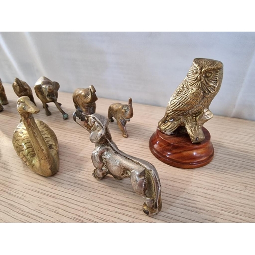 53 - Collection of Animal & Bird Ornaments; 5 x Brass Elephants, Owl on Base, Swan, Dog, Rabbit, Lizard a... 