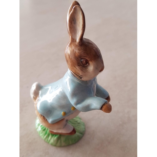 257 - Beatrix Potter Porcelain Figurines 