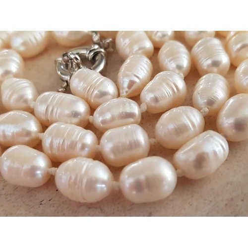 627 - Freshwater Cultured Pearls Necklaces (L:61cm)