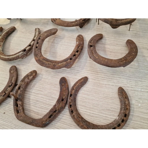 72A - Collection of 20 x Vintage Horse Shoes, (20)