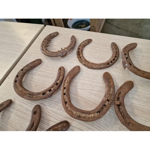 72A - Collection of 20 x Vintage Horse Shoes, (20)