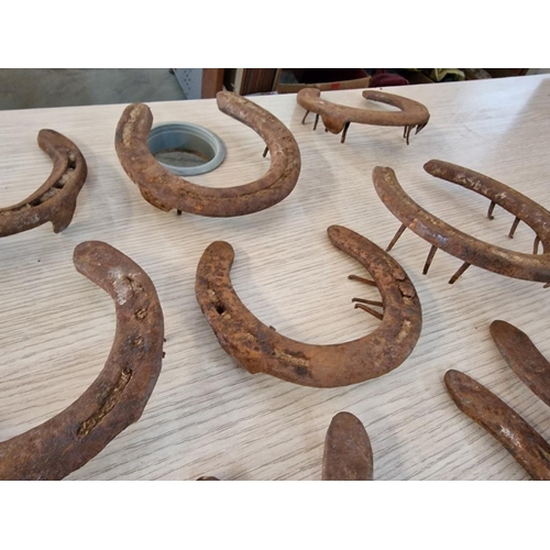 72A - Collection of 20 x Vintage Horse Shoes, (20)