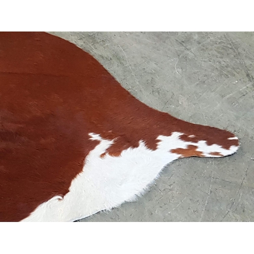 557 - Natural Cow Skin Hide - Brown / White Colour from Buenos Aires / Argentina (Approx. Size; 220 x 200c... 