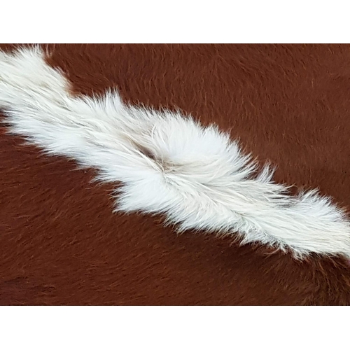 557 - Natural Cow Skin Hide - Brown / White Colour from Buenos Aires / Argentina (Approx. Size; 220 x 200c... 