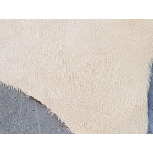 559 - Natural Cow Skin / Hide - Cream Colour from Buenos Aires / Argentina (Approx. Size 220 x 210cm)