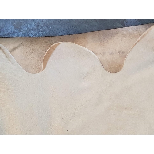 559 - Natural Cow Skin / Hide - Cream Colour from Buenos Aires / Argentina (Approx. Size 220 x 210cm)