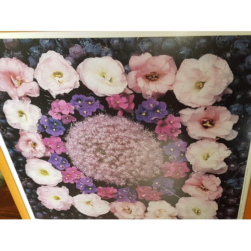 336 - 2 x Floral Prints in Frame (One A/F Broken Glass), (51 x 51cm each)