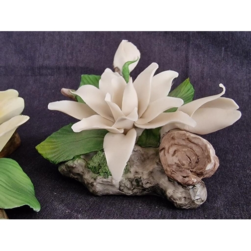 32 - 2 x Capodimonte Porcelain Flower Ornaments, Made in Italy, (2)