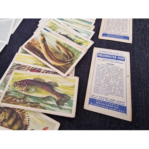 129 - Large Collection of Vintage Cigarette Cards, Various Sets, (See multiple catalogue photos)