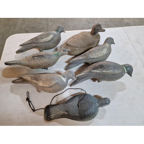 141 - Collection of Decoy Pigeons and a Duck